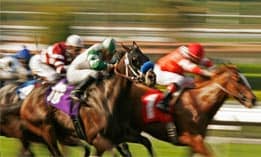 Post image for Melbourne Cup Day Office Hours
