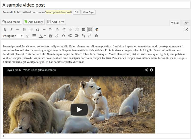 video-embed-wordpress-4-video-preview